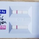 마송 동물병원 이미지