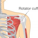 힘내라정형외과의원 이미지