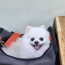 충무분식