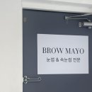 미니 브로우 | 신대방역 속눈썹펌 | 오래가는 시그니처펌 [브로우마요] 후기