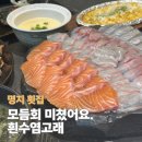 고래초밥 - 영광군 중앙로3길 5-22 | 명지 횟집에서 찾은 부산 초밥 맛집 흰수염고래 후기