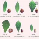 재이와의 약속♡으로 쑨 수제 도토리묵 이미지
