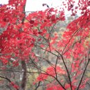 내장산식당 이미지