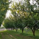 광운관광농원 이미지