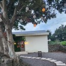 난산리-2 이미지