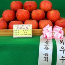 자매농원 이미지