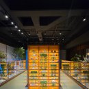 원스타 | 2026년 미쉐린 원스타 받은 파인다이닝 꼴라쥬 디너 후기