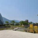 거제 풀빌라 카나리아 이미지