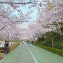 금정체육공원_축구장 이미지