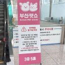 벡스코 동물병원 | 벡스코 2025 부산펫쇼 상세정보 및 내 돈 쓴 후기