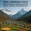 고원농장 이미지