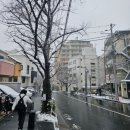 맑은물 사업소 옆 공원 | 도쿄 여행 4일차 :: 시바공원, 긴자, 나리타 호텔(+도쿄역 캐리어 보관 후기)