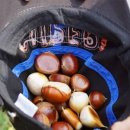 홍성그린 이미지