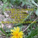 유다목장 이미지