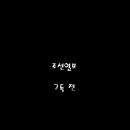 421003 Daum카페