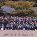 거북시장B(42136) | 1995, 을해년