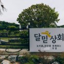 달믿상회