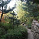 덕산온천관광단지 | 청정한 자연 속에서 힐링을 찾다, 덕산온천관광단지 후기