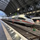 유럽커텐 | 여자혼자 유럽여행 - 오스트리아 4박 5일 후기