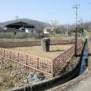 입석 Daum카페