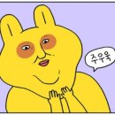 어베럴짐 이미지