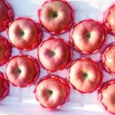 화강농장 이미지