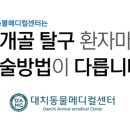 대치동물메디컬센터 이미지