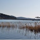 봉서 통나무 펜션 이미지