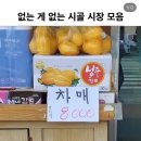 강남식육점 | ✨아 왕자보고싶어✨ 서울 나들이 레스고 〰️ 💨