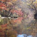 국립가리왕산자연휴양림 이미지