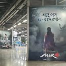 미르무역