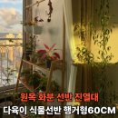 행거41 | 원목 화분 선반 행거형 공간 활용 좋은 정리대 실사용 구매 후기,41% 할인