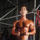 더 머슬짐 이미지