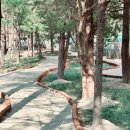 과천시 중앙공원 이미지