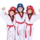 용인대창룡태권도 이미지