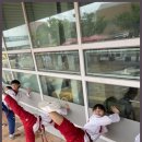 소나무향기태권도장 | 거제태권도 거제의 소나무향기 태권도장, 자신감과 인성을 길러주는 곳