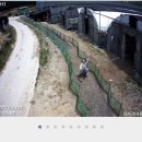 분동농장 이미지