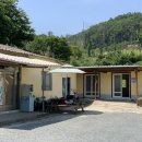 감나무집 이미지