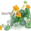 강원도 횡성군 횡성읍 태풍로 이미지