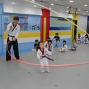 용인대 튼튼 태권도장 이미지