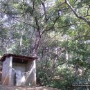 구암마을진입로 이미지