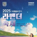 동해 무릉별유천지 라벤더 축제 추천 가이드