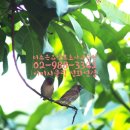 더밝은미래교육원