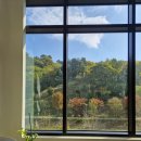 맑은한약국 이미지