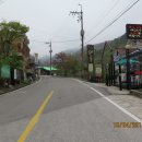 개굴개굴 이미지