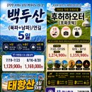 구영애여행