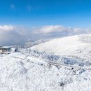 정선 가리왕산 케이블카 이미지