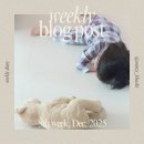 어린이체스B | 2025년 마지막주 육아일기(넘버블럭스 뮤지컬, 독감)