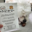 그미마당(keumimadang) 이미지