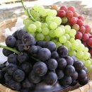 그레이트짐 이미지